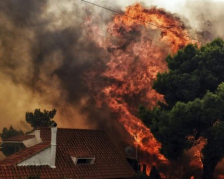 Огънят настъпва! Над 40 сигнала за пожари в Пазарджик и областта само за 72 часа