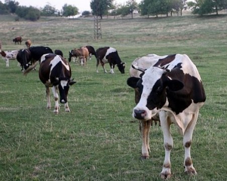 Стрелба в Раковски! Раненият е в болница, състоянието му е тежко