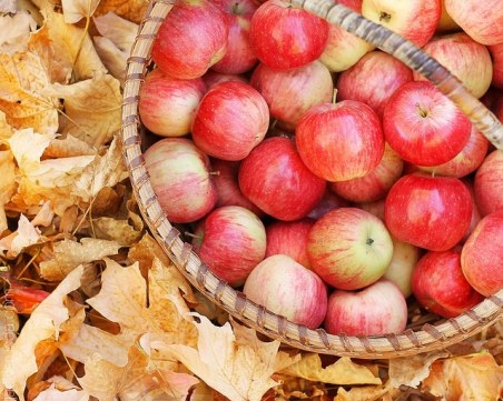 Хапвайте ябълки с кората! Убиват раковите клетки