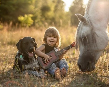 Те са нашата емоционална подкрепа! Да ги пазим! ВИДЕО