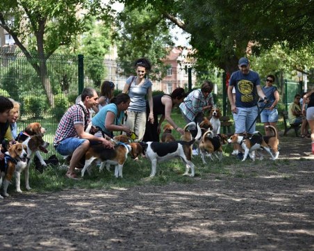 Любов без граници, или как една бивша пожарникарка превърна група във ФБ в модел на гражданско общество