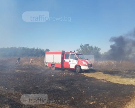 Огънят сe прехвърли през Околовръстното на Пловдив! Пожарната се бори с пламъците СНИМКИ