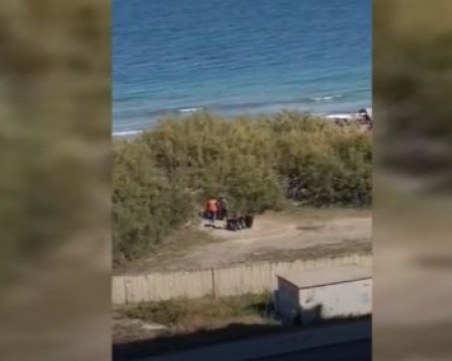 Роми унищожават дюни в курорта Поморие, изнасят го в чували