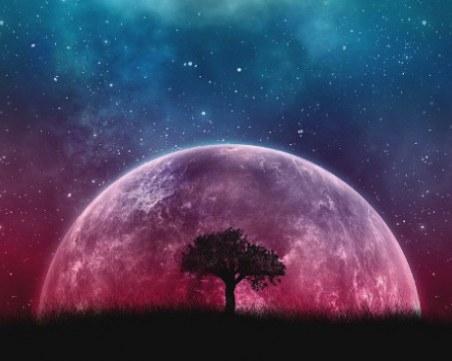 В никакъв случай не правете предложение за брак! Ретроградна Венера е