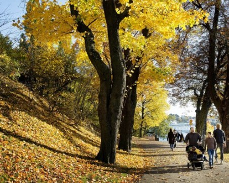 Термометрите удрят 25 градуса през новата седмица! Чака ни слънце!