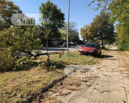 Полицай е с премазан крак след гонката в Тракия СНИМКИ