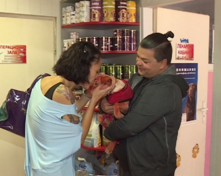 Кучето Реди вече е при новия си стопанин