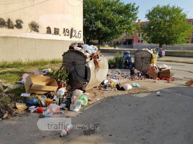 Планини от боклуци отново заливат Пловдив, проблемът с контейнерите остава СНИМКИ