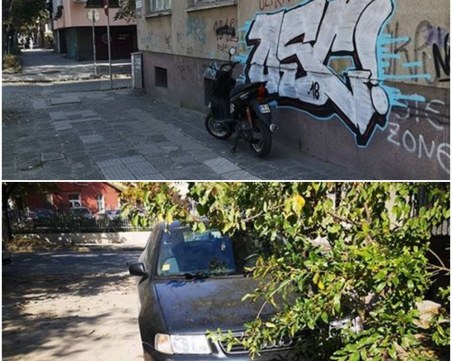 Другия път паркирайте направо в хола!, зове пловдивчанка СНИМКИ