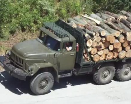 Арестуваха кмет на пазарджишко село, превозвал нелегално дървесина