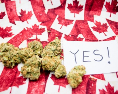 От днес Канада легализира канабиса