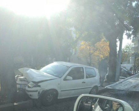 Кола се заби в дърво в Кючука СНИМКА