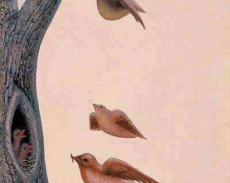 Картина показва за какво се караме с половинката си