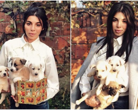 Мегз подарява випбрадърски кученца СНИМКИ