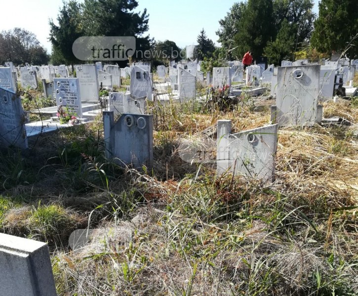 Треволяци и непочистени пътеки тормозят посетителите на Рогошките гробища СНИМКИ