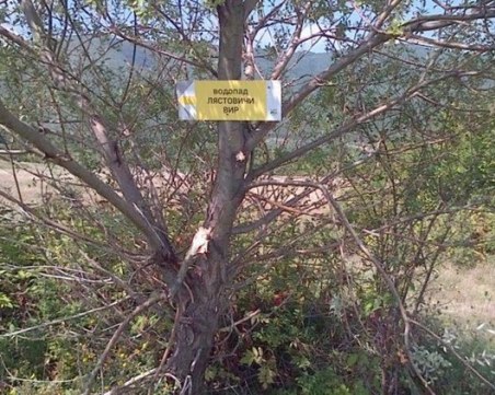 Дивото зове! Асеновградчани тръгват на поход из родопските потайности