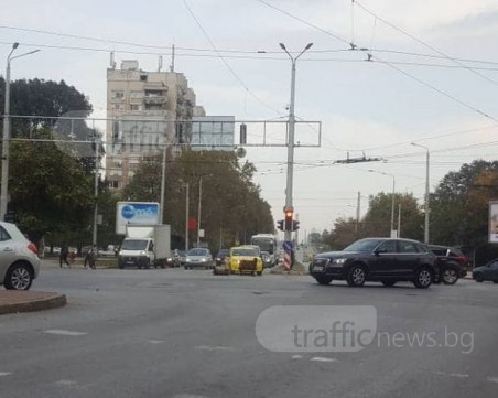 Овчици дремят по средата на кръстовище в Пловдив! На 200 метра роми стоят смутени до празен бус СНИМКИ