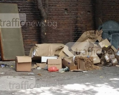 Чистота “краде“ бизнеса на ромите, събира стари мебели и техника