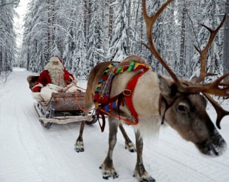 Лапландия търси елфи
