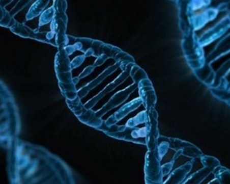 Учени унищожиха вируса ХИВ с помощта на стволови клетки