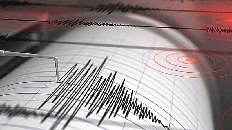 Две силни земетресения люшнаха Канада