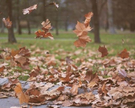 Обявиха жълт код за опасен вятър утре в Пловдив