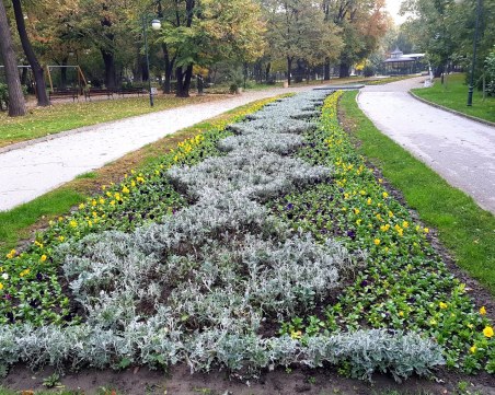 Пловдив ще бъде по-красив! Засаждат 1 000 000 есенни цветя в градините и парковете СНИМКИ