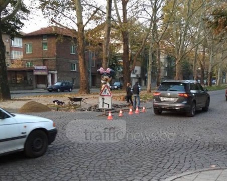 Това не го бяхме виждали! Мини Маус  стана регулировчик на пловдивски булевард СНИМКИ