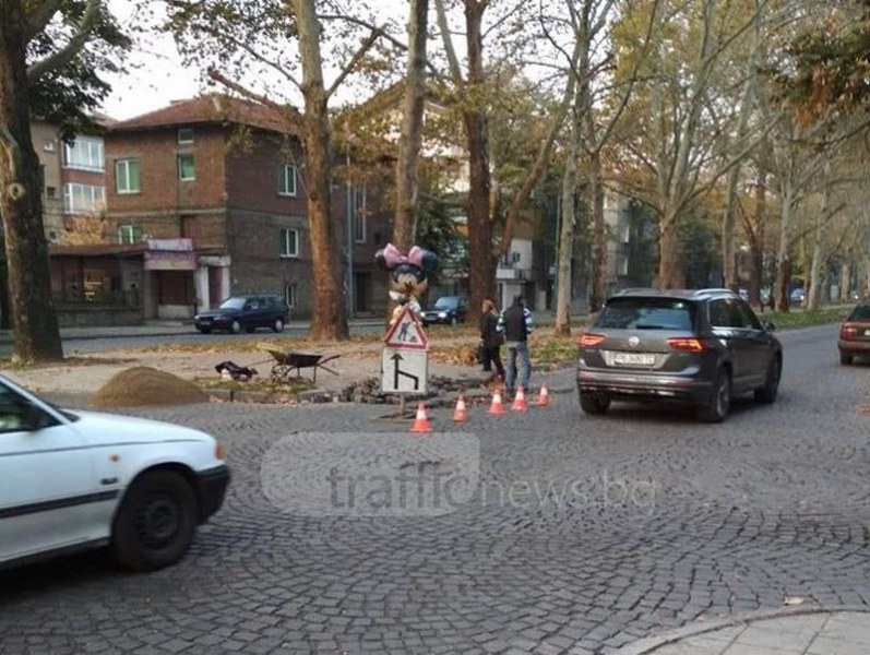 Това не го бяхме виждали! Мини Маус  стана регулировчик на пловдивски булевард СНИМКИ