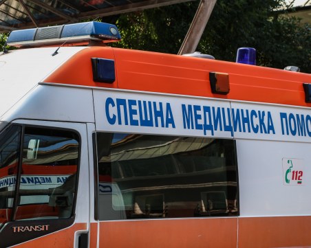 Шофьор се бори за живота си след катастрофа с крава