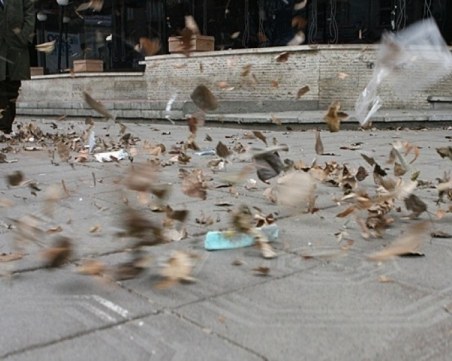 Ураганният вятър удря Пловдив следобед,  през нощта - рязко застудяване