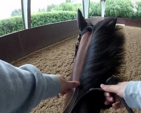 Ездачът, прегазил 2-годишно дете, е осъждан и преди