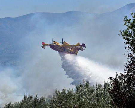 Голям пожар се развилня на Халкидики СНИМКИ