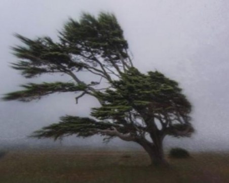 Ураганният вятър остави над 40 села без ток