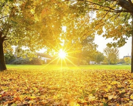 Какво време ни очаква през ноември? Слънцето май няма да се скрие скоро