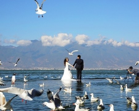 Ще познаете ли какво не е наред с тези снимки?