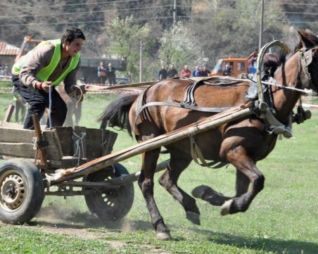 Полицай пострада при незаконни гонки с каруци