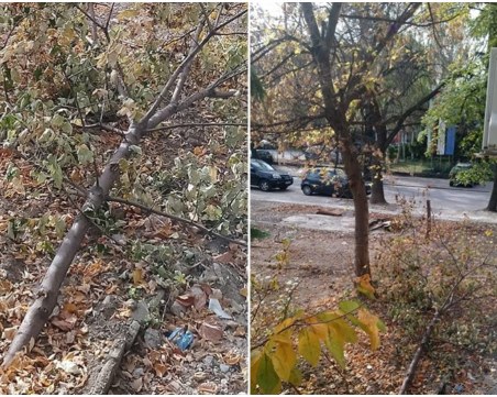 Пловдивчанка: Бях толкова щастлива, че ще махат гаражите, а какво стана? ВИДЕО
