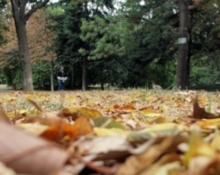 И ноември ще бъде слънчев и топъл! Чак към края температурите падат