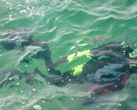 Мъж се удави във водоем, водолази търсят тялото му