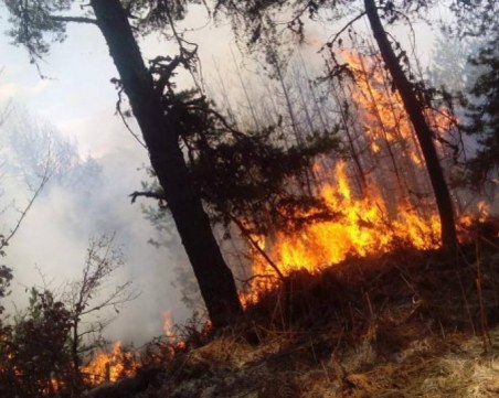 Пожар край Хижа Здравец, три пожарни са на място