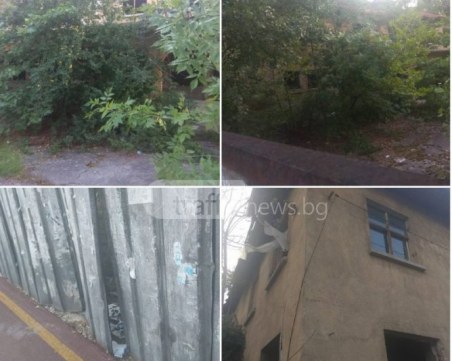 Тотев: Ако някой не иска да взима решения, да не се кандидатира за общински съветник