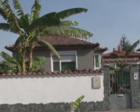 Най-много бананови насаждения у нас има в... Катуница