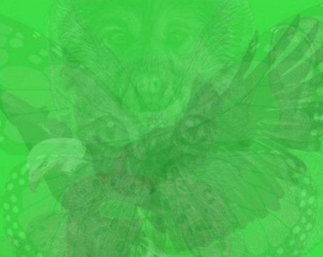 Животното, което видиш първо, разкрива много за характера ти