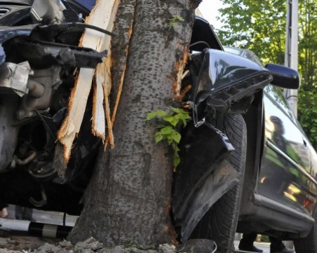 Ауди се заби в дърво на пътя Варна-Бургас, млад мъж загина