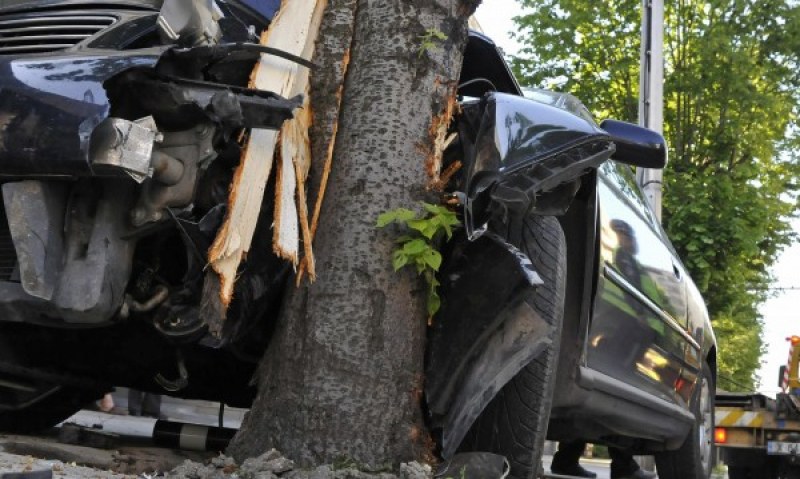 Ауди се заби в дърво на пътя Варна-Бургас, млад мъж загина