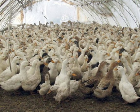 Фермери излизат на протест днес