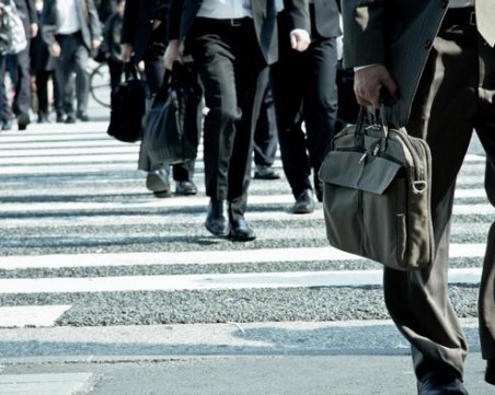 Кои професии взимат най-тлъстите заплати в Германия? Не е като у нас...