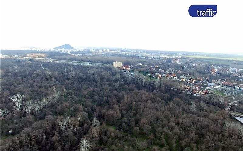 Съдът поряза еколозите, скочили срещу изграждането на лесопарк на 660 дка в Пловдив ВИДЕО