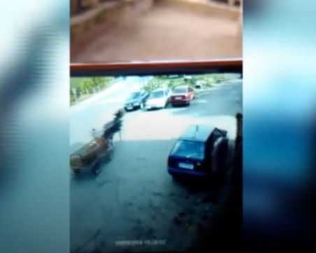 Кон скочи върху спрял на пътя автомобил ВИДЕО